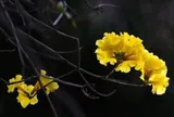 Người làm 3 điều này với bạn vốn không đơn giản, có ý đồ giấu rất sâu