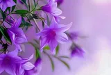 Đối với kẻ tiểu nhân, nhớ lấy 3 điều này và bạn sẽ chiến thắng 