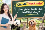 Câu đố 9/10 người trả lời sai: Con gì cho ăn thì chết, bỏ đói lại sống?