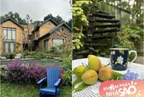 "Vua nhạc đỏ Việt Nam" có biệt thự 4.000m2 rộng thênh thang ở Sóc Sơn, từ vườn đến trong nhà đẹp như cổ tích