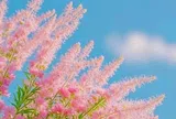 Cách tốt nhất để mang lại sự thịnh vượng cho gia đình gói gọn trong 2 từ