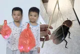 Trường tổ chức thi làm lồng đèn Trung thu, loạt “siêu phẩm” của phụ huynh và học sinh khiến dân mạng cười bò