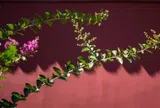 Đừng trả thù kẻ từng làm tổn thương bạn, họ sợ nhất khi bạn đáp trả theo cách này