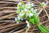 Phụ nữ càng sang trọng, thanh lịch, càng thích nói 3 câu này
