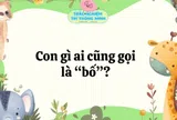 Con gì ai cũng gọi là bố?