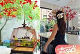 Thú vui thanh cảnh, đầy tao nhã của vợ chồng diễn viên Mạnh Trường trong biệt thự mới đẹp lung linh ở Hưng Yên