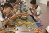 Bức ảnh học sinh cấp 2 ăn trưa ở căn tin trường khiến phụ huynh sửng sốt: Nhìn kỹ mới thấy điều bất thường