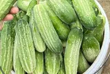 Mua dưa chuột, chọn quả đầu to hay nhỏ hơn thân thì ngon, người nông dân nói sự thật không ai ngờ