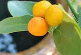 Giữ được 6 điều này, bạn sẽ ngày càng may mắn, cuộc sống dễ dàng hơn 