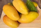 Mua xoài chọn quả to hay nhỏ thì ngon, nhớ những mẹo này xoài thơm ngọt, thịt dày, hạt mỏng