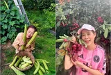 Nữ ca sĩ là Phó Chủ tịch tập đoàn đội nón ra vườn trời mưa: Khu vườn rộng trái tua tủa, lớn không kịp hái