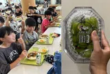 Con đi học ngày nào cũng không ăn, mang một thứ từ bữa trưa ở trường về nhà, mẹ khoe lên mạng khiến hội PH tấm tắc