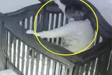 Bà nội bế cháu đi ngủ lúc nửa đêm nhưng xảy ra sự cố thót tim, người mẹ xem camera liền đăng ngay lên mạng