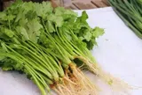 Rau mùi mua về cho ngay vào tủ lạnh là sai lầm, làm thế này, rau để được lâu chẳng lo héo úa