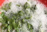 Loại lá càng rửa càng nổi bọt như xà phòng, giá 150.000 đồng/kg, ăn được liền “thành tiên” còn cực dễ trồng