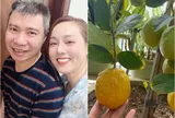 Vợ NSND Công Lý tiếc tiền mãi mới dám mua một cây chanh vàng, nhìn quả sai lúc lỉu vàng ươm mà mê