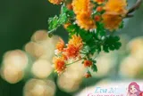 Phụ nữ có 4 thói quen này thường không đơn giản, rất tự tin và thanh lịch bất chấp tuổi tác