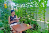 Mẹ đảm Hải Phòng chi 40 triệu làm vườn rau 32m2 trên tầng 6: Rau xanh ăn quanh năm không hết, dưa treo lúc lỉu đã mắt