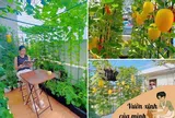 Mẹ đảm Hải Phòng chi 40 triệu làm vườn rau 32m2 trên tầng 6: Rau xanh ăn quanh năm không hết, dưa treo lúc lỉu đã mắt