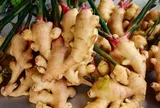 Gừng mua về rất dễ bị thối, teo, ngâm ngay vào thứ nước rẻ tiền này, để cả năm vẫn tươi ngon cay thơm