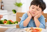 Chăm con dù to lớn nhưng không khỏe, chuyên gia cảnh báo “đừng bắt chước công thức, lấy con làm phép thử”
