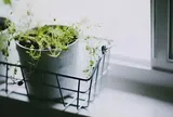 3 lời người khôn ngoan chọn giấu kín trong lòng, sẽ không tùy tiện nói với con cái 