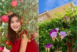 "Em gái Hồng Đăng" có ngôi nhà xinh đúng mơ ước từ nhỏ, giàn hoa leo phủ kín tường đẹp nên thơ