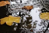 Điểm tựa vững chắc nhất của phụ nữ: Không phải chồng hay con cái mà chính là người này!