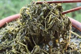 Cứ tưởng trồng chỉ để lấy củ ai ngờ lá của cây này cực ngon, xào hay nấu canh đều hấp dẫn vô cùng