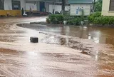 Bể chứa ở nhà máy đường bị sét đánh, 2.000 tấn mật mía tràn ra ngoài