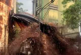 Vụ sét đánh thủng bể chứa, 2.000 lít mật mía chảy ra ngoài: Lãnh đạo công ty lên tiếng