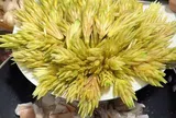 Sự thật ngỡ ngàng về loại hoa đặc sản ngon hơn măng ngọt: Hóa ra bấy lâu nay ta đã "bỏ quên" một thần dược