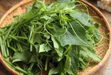 Loại rau đang vào mùa tại Việt Nam, được ví như "rau râu rồng" với phần râu xoăn đặc trưng