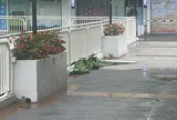 Bắt khẩn cấp vợ và con trai trong vụ người đàn ông rơi từ ban công xuống đất