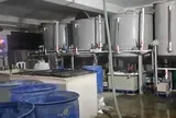 Vệ sinh bể tự hoại, 4 công nhân thiệt mạng: Hiện trường có gì?