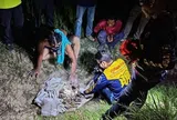 Vô tình nhát cuốc trúng "kho báu" 500 năm: Lão nông chết lặng khi thấy thứ nằm xen lẫn những đồng xu bạc