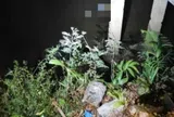 Người đàn ông tử vong thương tâm dưới mương nước trên đường đi làm về