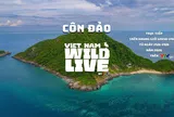 Lần đầu tiên VTV phát sóng trực tiếp đời sống hoang dã tại Côn Đảo, đưa thiên nhiên Việt Nam đến gần công chúng