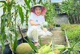 Bất ngờ với nhà mặt phố và “biệt phủ” hàng chục tỷ của ca sĩ Mỹ Tâm