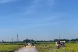 Xã Chương Dương (TP. Hà Nội) chủ động triển khai sản xuất vụ Mùa 2026 sau thắng lợi vụ Xuân
