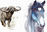 3 cặp con giáp dễ xung khắc khi về chung nhà: Càng yêu lâu càng dễ nảy sinh mâu thuẫn