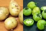 3 loại rau củ người bán cũng không bao giờ ăn, rẻ đến mấy cũng đừng mua kẻo rước bệnh vào người