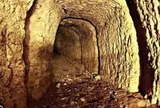 Đào trúng “báu vật” dưới công viên, công nhân bất ngờ kiếm tiền khủng nhờ lời 'tiên tri' khiến ai cũng sửng sốt