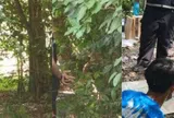 Mẹ vào rừng hái nấm, bủn rủn phát hiện thi thể con gái: Nhiều dấu hiệu bất thường từ chiếc quần