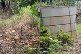 Phát hiện thi thể phụ nữ quấn kín màng bọc thực phẩm trong vườn vải, suốt nửa năm không ai hay biết