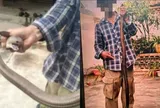 Dùng tay không bắt rắn, người đàn ông còn bình thản chụp ảnh, 30 phút sau phải giành giật sự sống