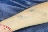 Thi thể nam thanh niên có hình xăm vương miện được phát hiện trên sông: Công an phát thông báo mới