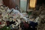 Cặp vợ chồng trả phòng sau nhiều năm thuê, chủ nhà vừa mở cửa đã sốc nặng trước cảnh tượng khủng khiếp