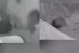 Clip: Camera ghi lại cảnh bảo mẫu túm cổ, nhấc bổng trẻ sơ sinh gây phẫn nộ