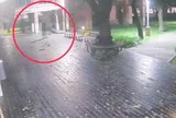 Phát hiện thi thể nam sinh trong khuôn viên bảo tàng: Camera ghi lại những hình ảnh cuối cùng lúc 3h30 sáng